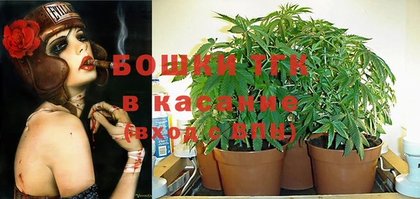 винт Армянск