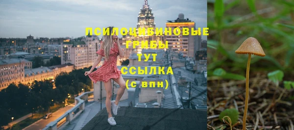 винт Армянск